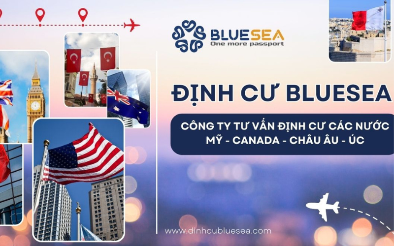 Công ty tư vấn định cư Bluesea