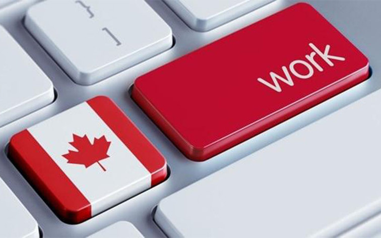 Lời khuyên để tìm được công việc tốt, lương cao tại Canada