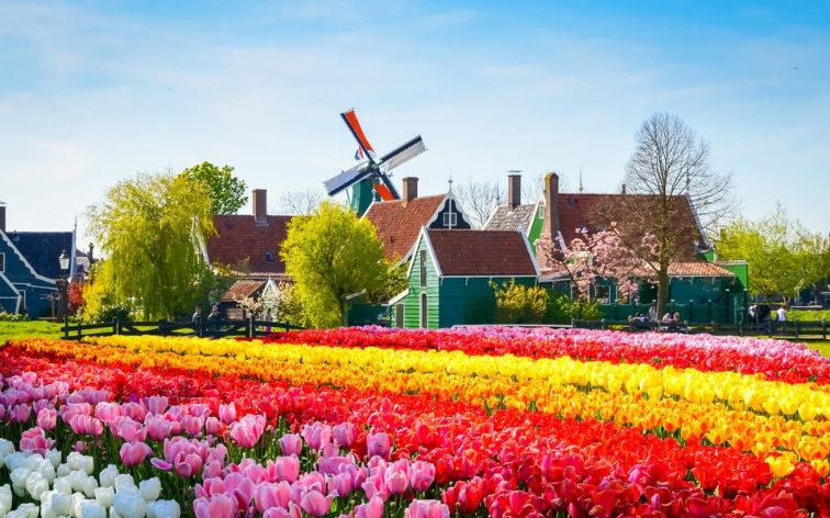 Hà Lan - Cuộc sống đáng mơ ước của nhiều người