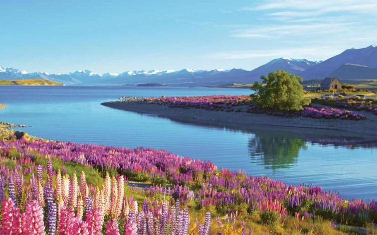 New Zealand - Thiên đường sống lý tưởng nên trải nghiệm
