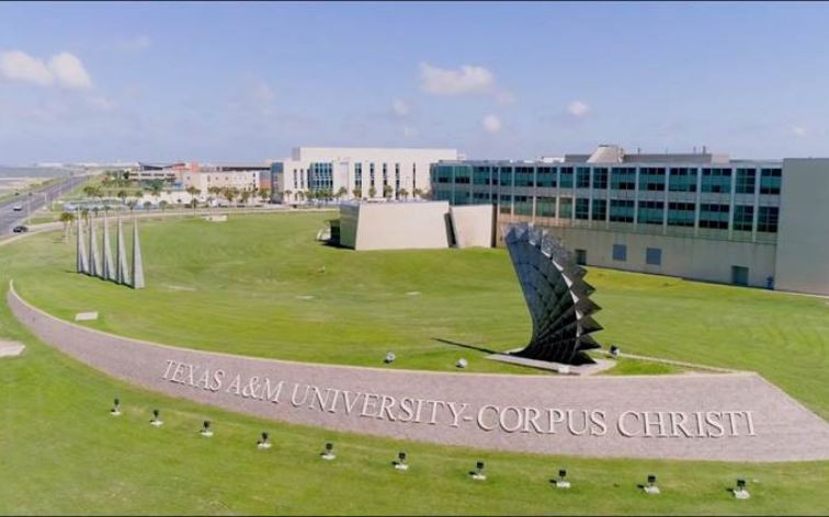 Đại Học Texas A&M - Thành Phố Commerce