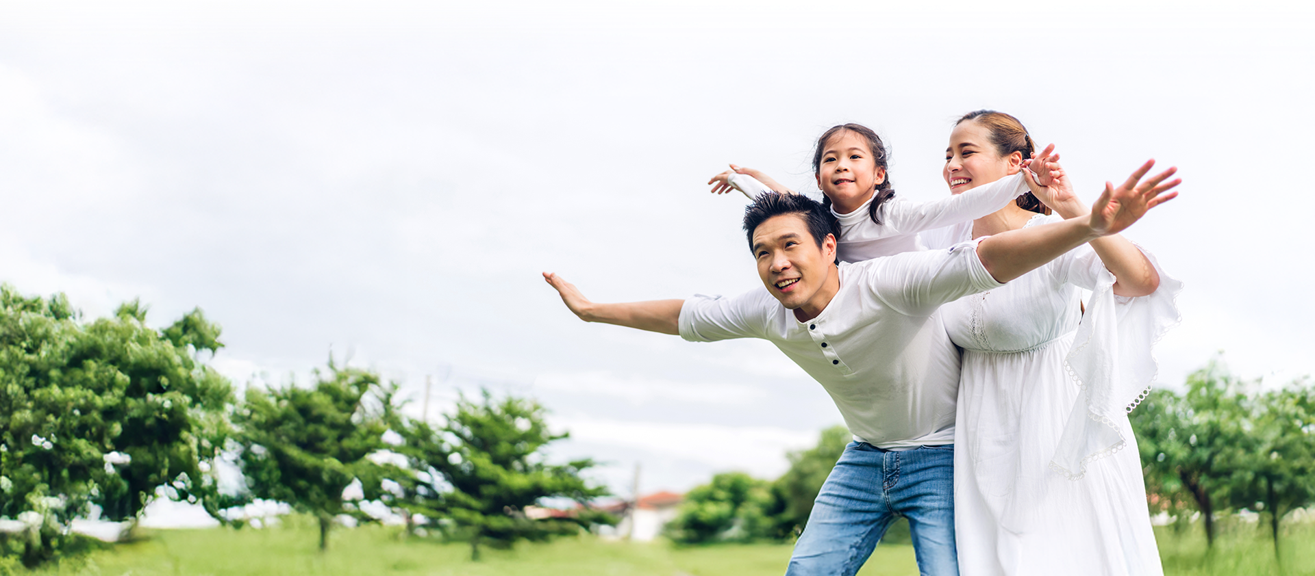 consultation background