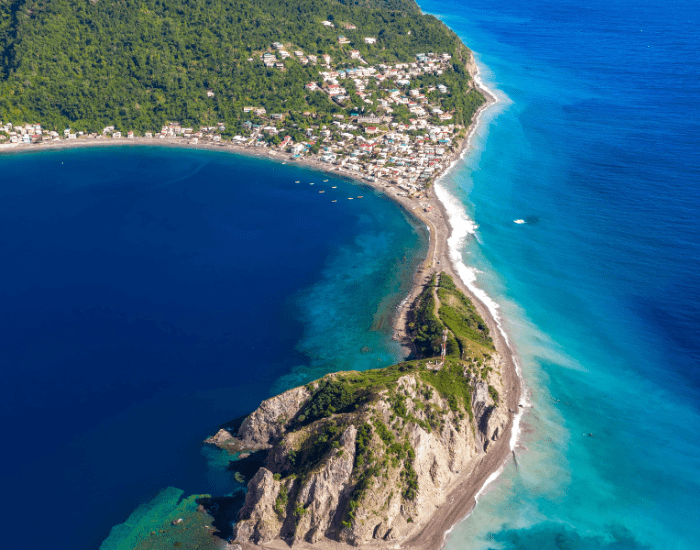 Nhập tịch Dominica