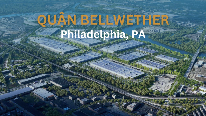 Quận Bellwether