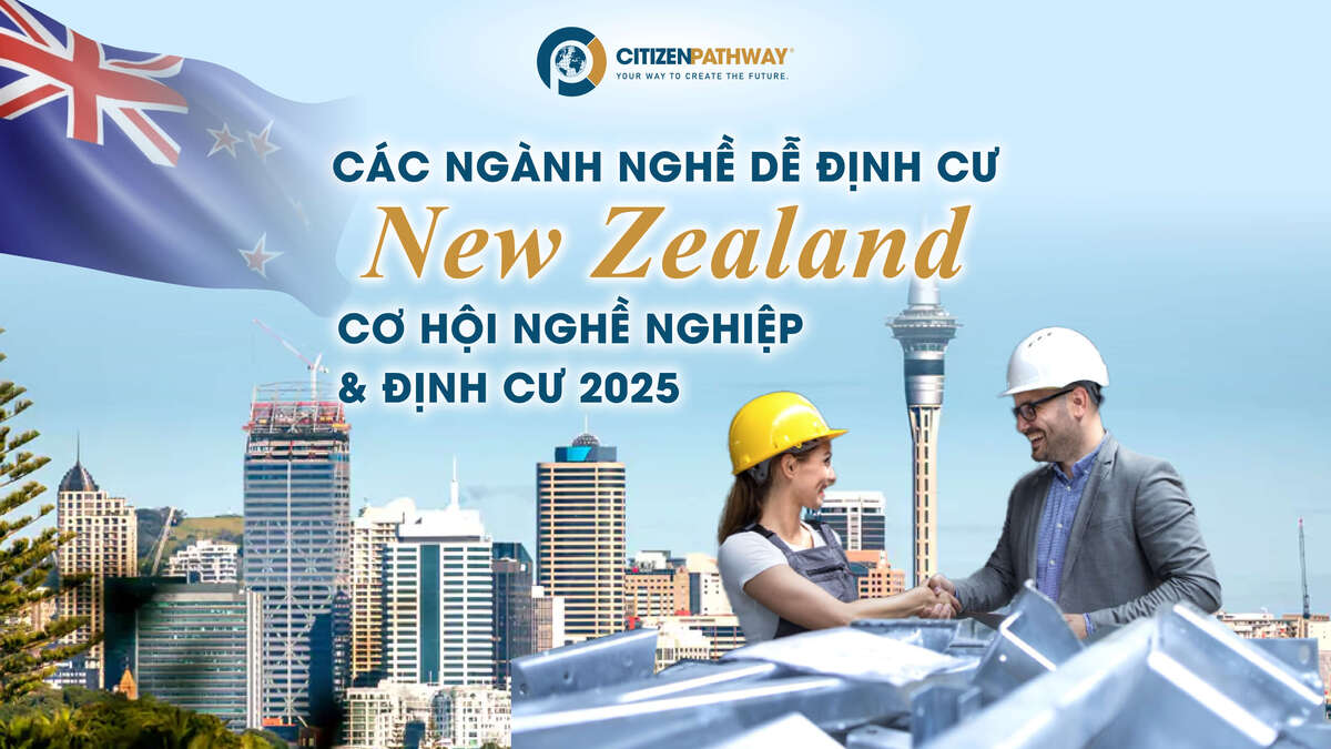 Các ngành nghề dễ định cư ở New Zealand: Cơ hội nghề nghiệp và định cư 2026