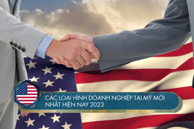 Các loại hình doanh nghiệp tại Mỹ mới nhất hiện nay 2024