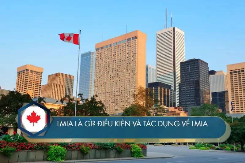 LMIA là gì? Điều kiện và tác dụng về LMIA