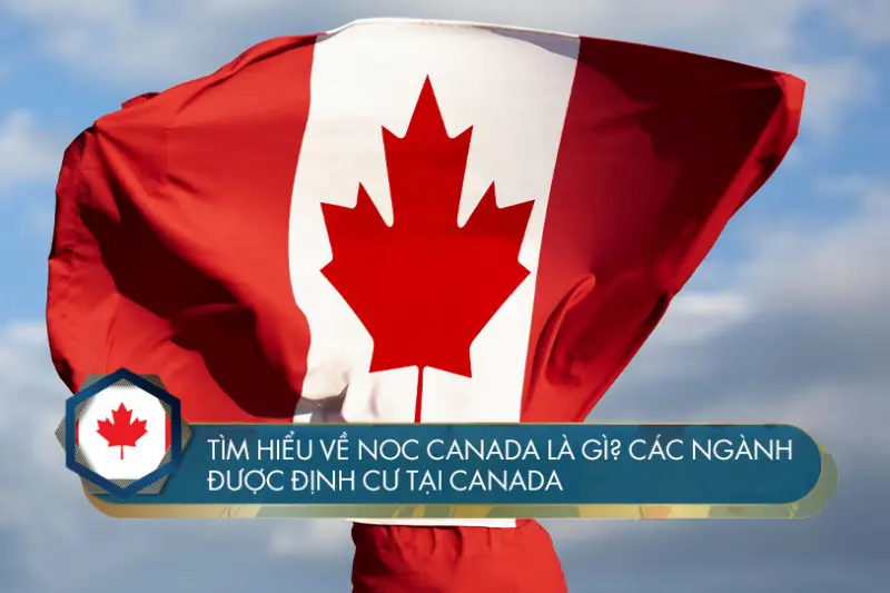 Tìm hiểu về NOC là gì? Các ngành được định cư tại Canada
