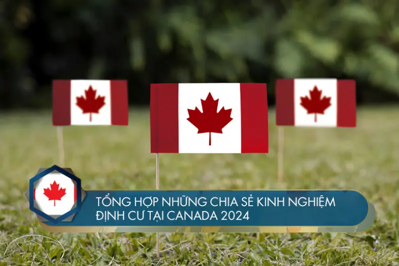 Tổng hợp những chia sẻ kinh nghiệm định cư Canada 2024