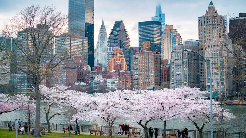 Bảng so sánh nhiệt độ trung bình giữa các bang lớn